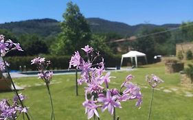 Alba Morus Bed E Breakfast Sentiti A Casa Nel Cuore Della Toscana Arezzo